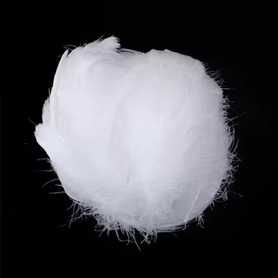 Lot de 100 plumes blanches