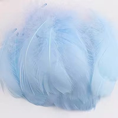 Lot de 100 plumes bleu pastel