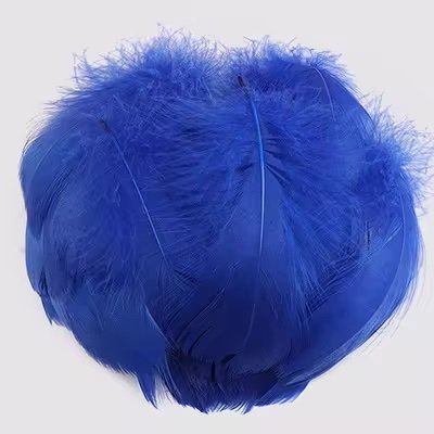 Lot de 100 plumes bleues