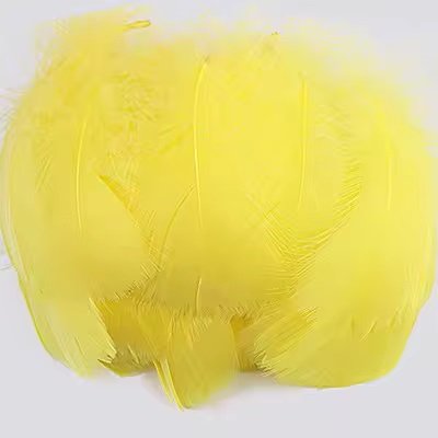 Lot de 100 plumes jaunes