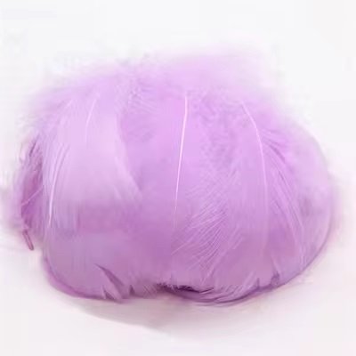 Lot de 100 plumes mauves