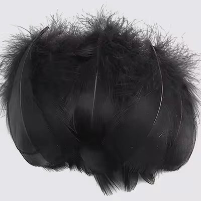 Lot de 100 plumes noires