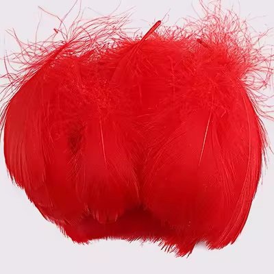 Lot de 100 plumes rouges