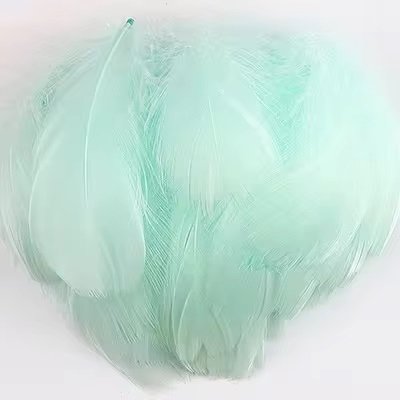 Lot de 100 plumes vert pastel