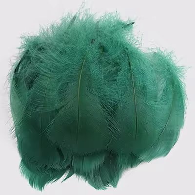 Lot de 100 plumes vertes