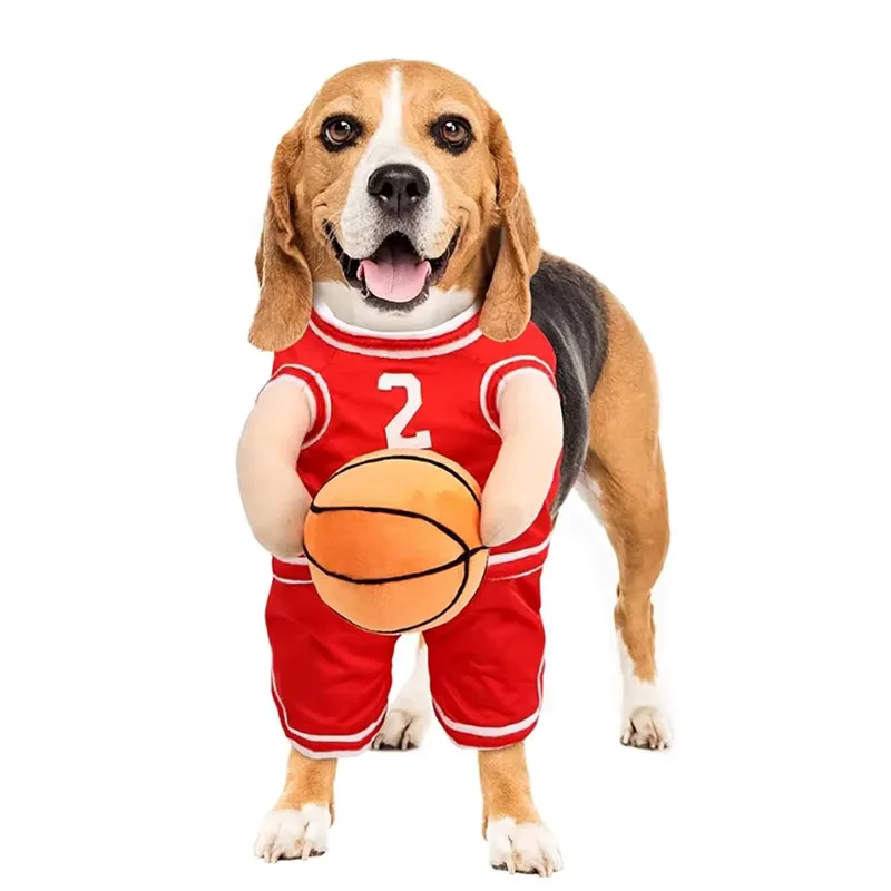Déguisement Basketteur pour chiens - beagle